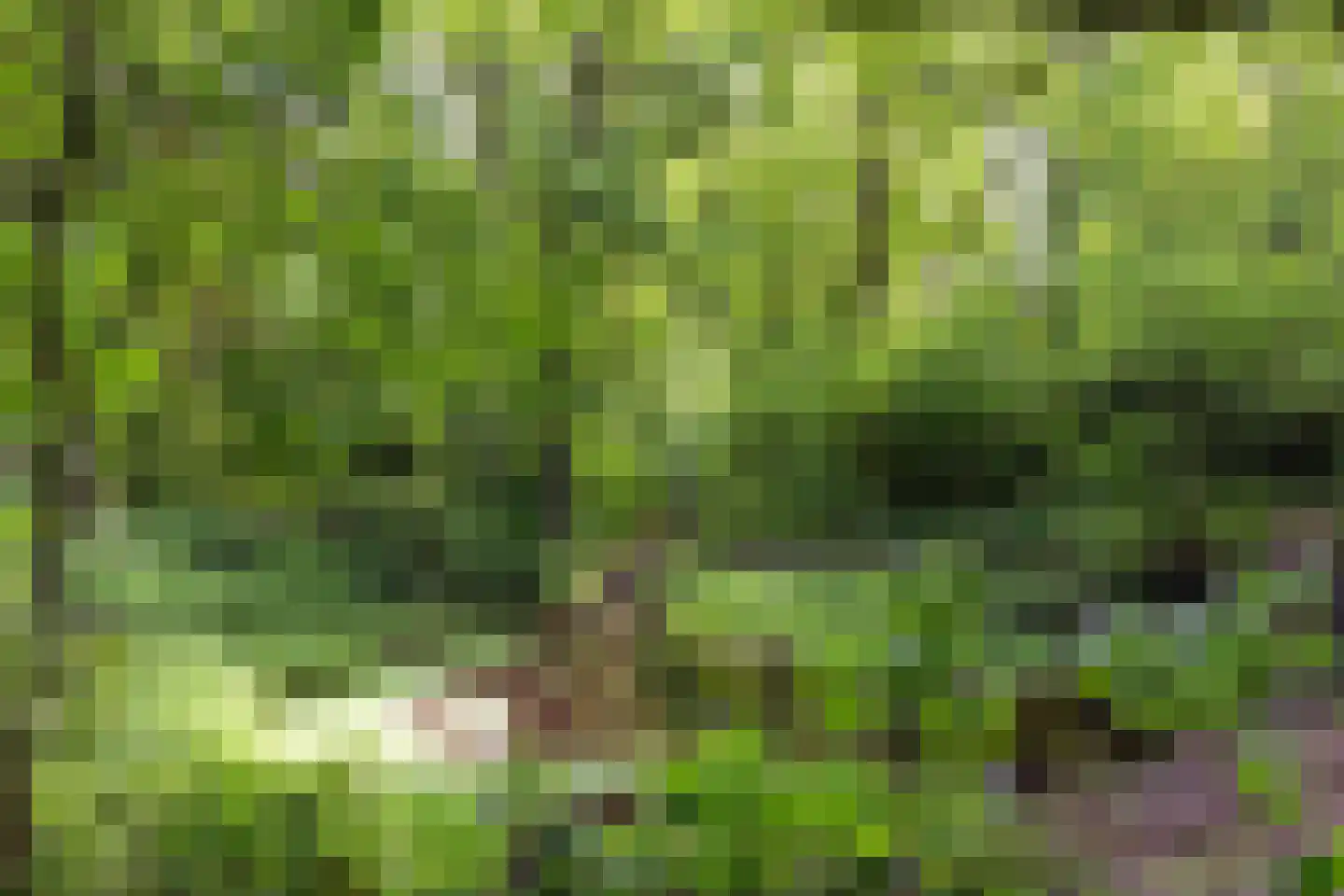 Berghuizerweg 152 A Apeldoorn thumbnail 51