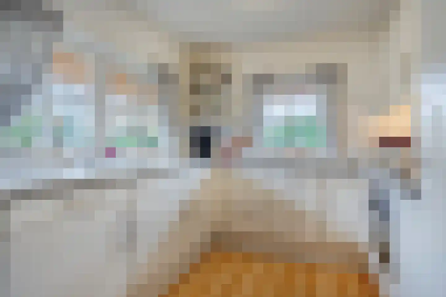 Berghumerstraat 36 Denekamp thumbnail 15