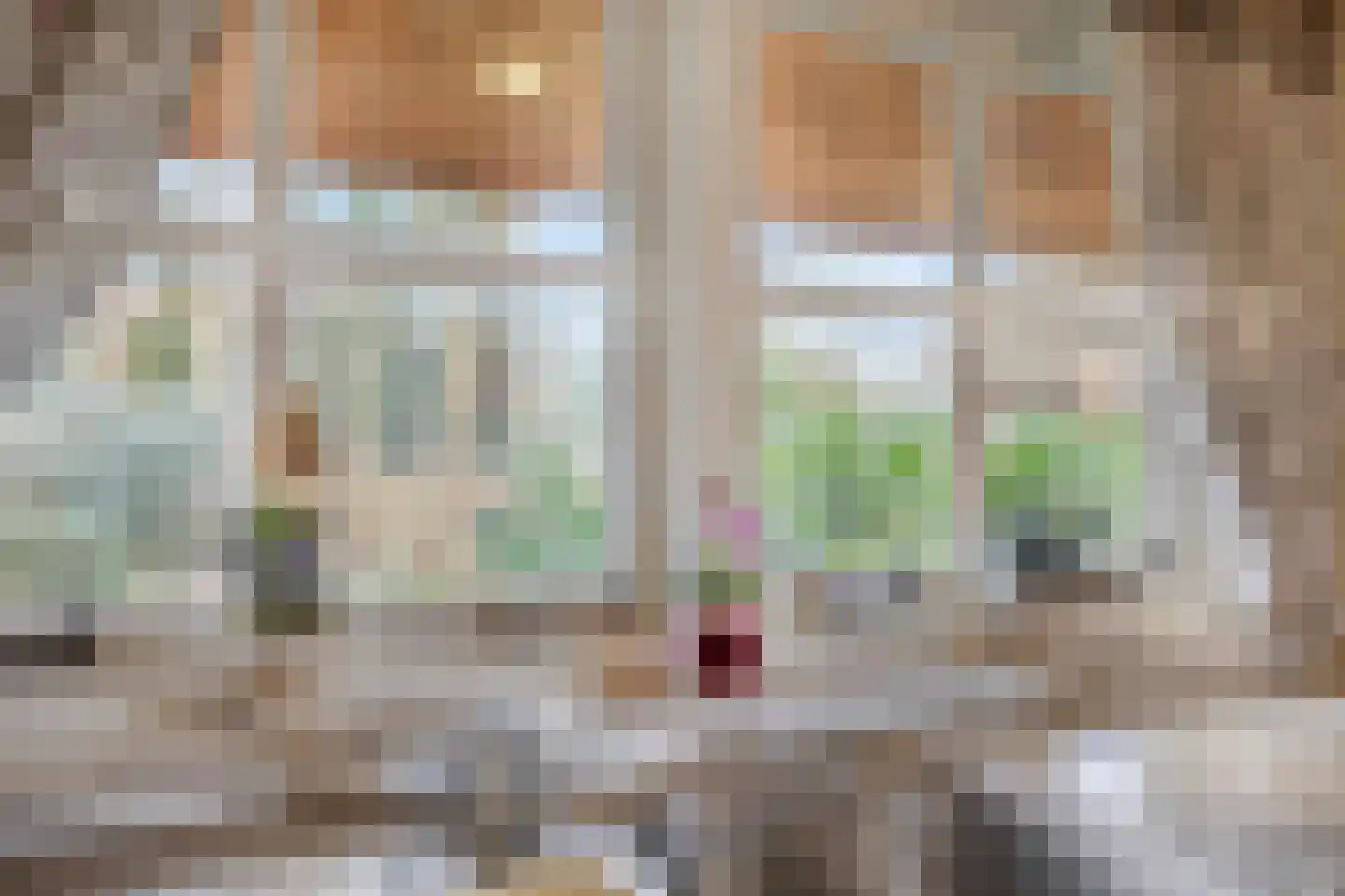 Berghumerstraat 36 Denekamp thumbnail 16