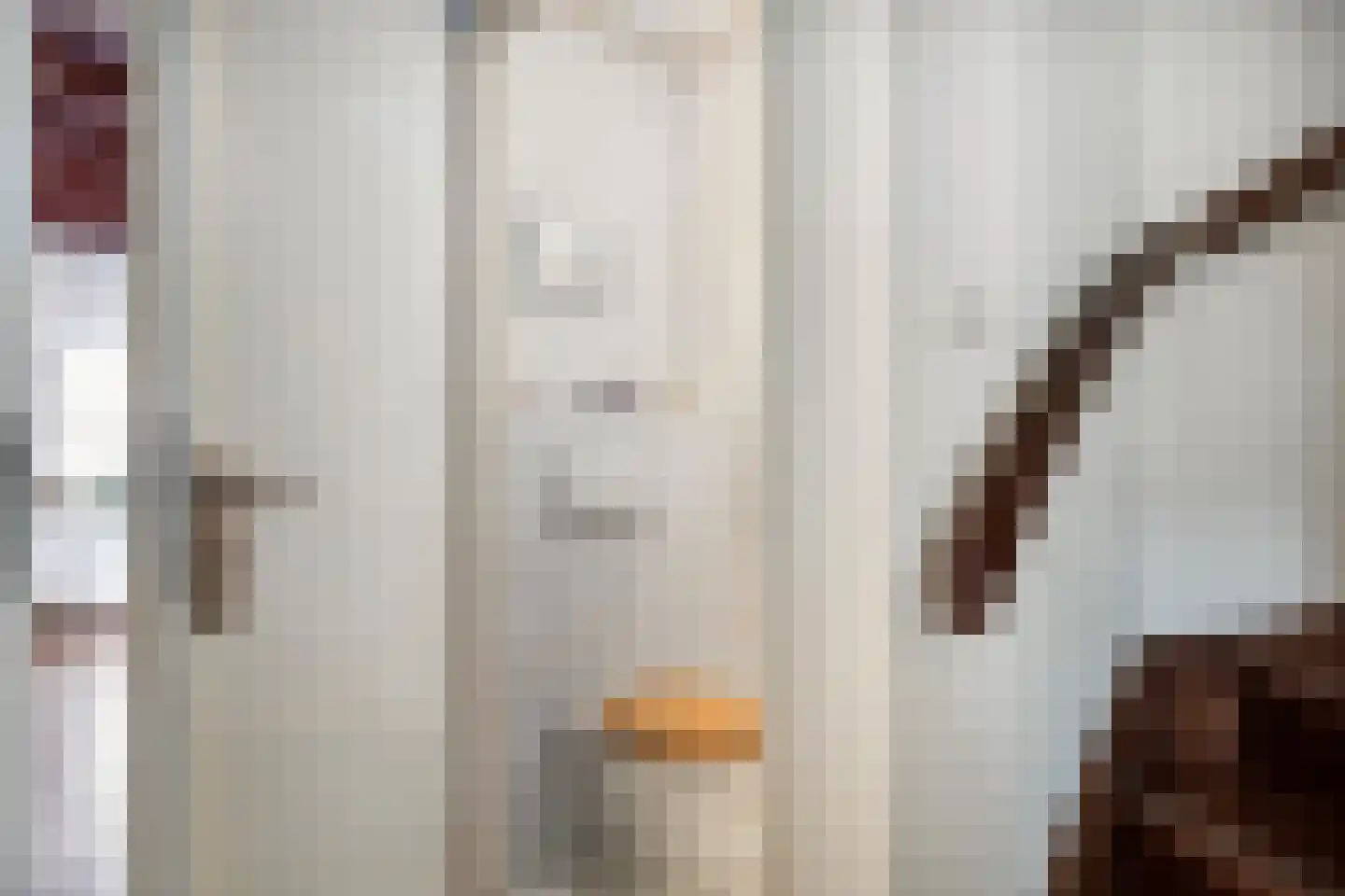 Berghumerstraat 36 Denekamp thumbnail 20
