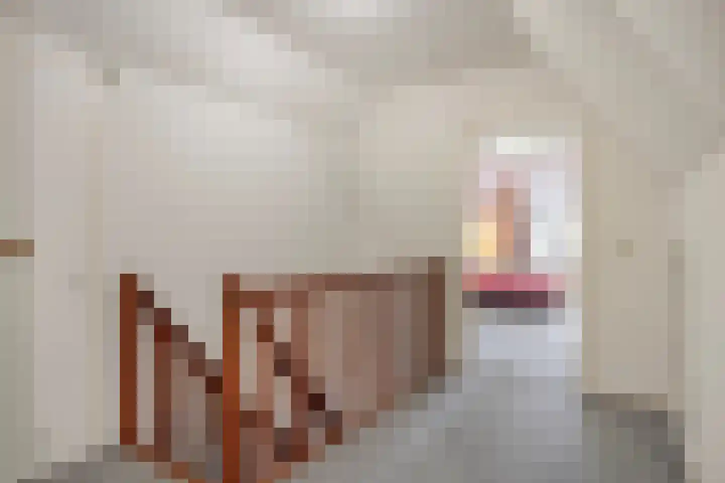 Berghumerstraat 36 Denekamp thumbnail 22