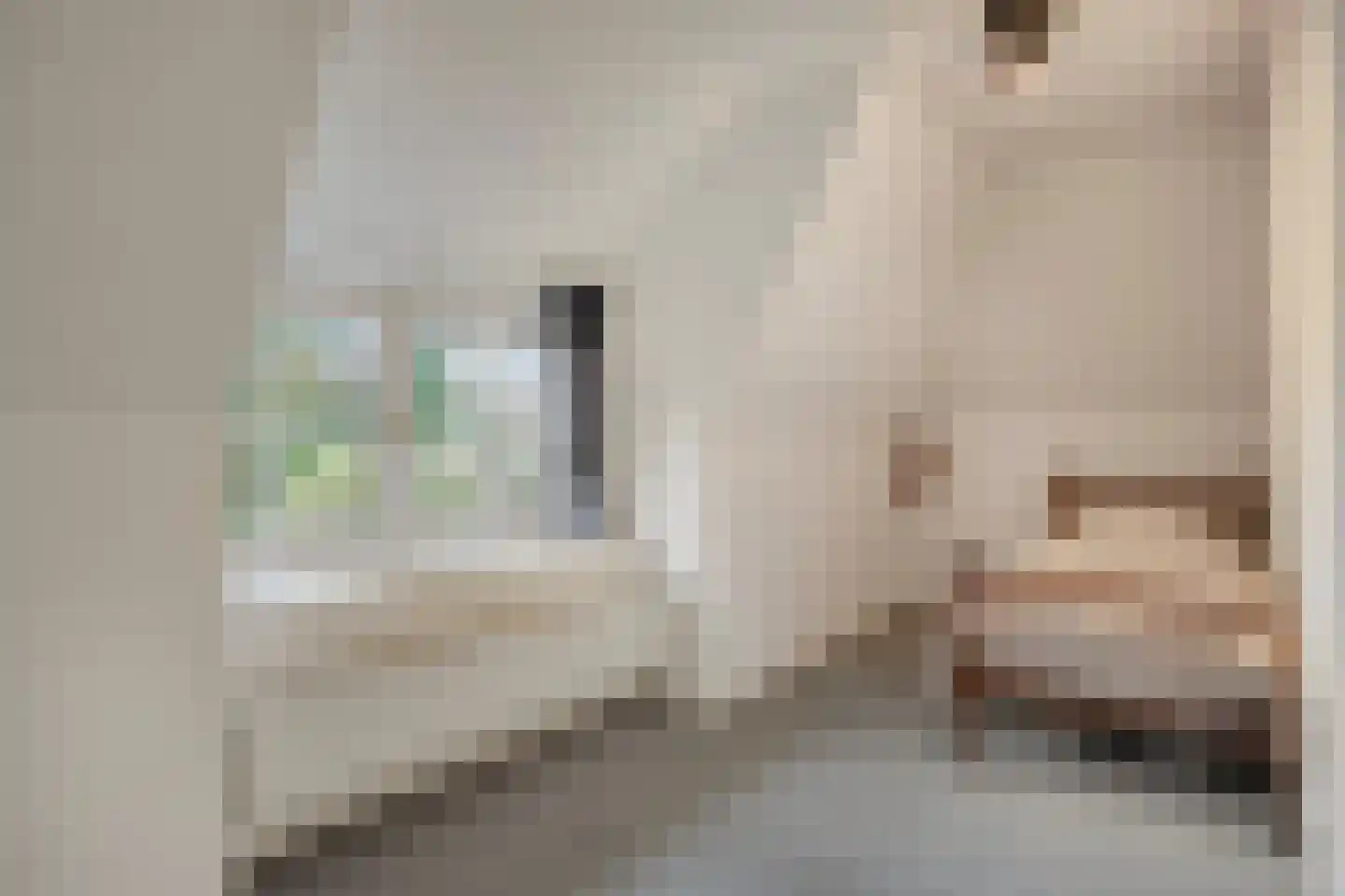 Berghumerstraat 36 Denekamp thumbnail 31