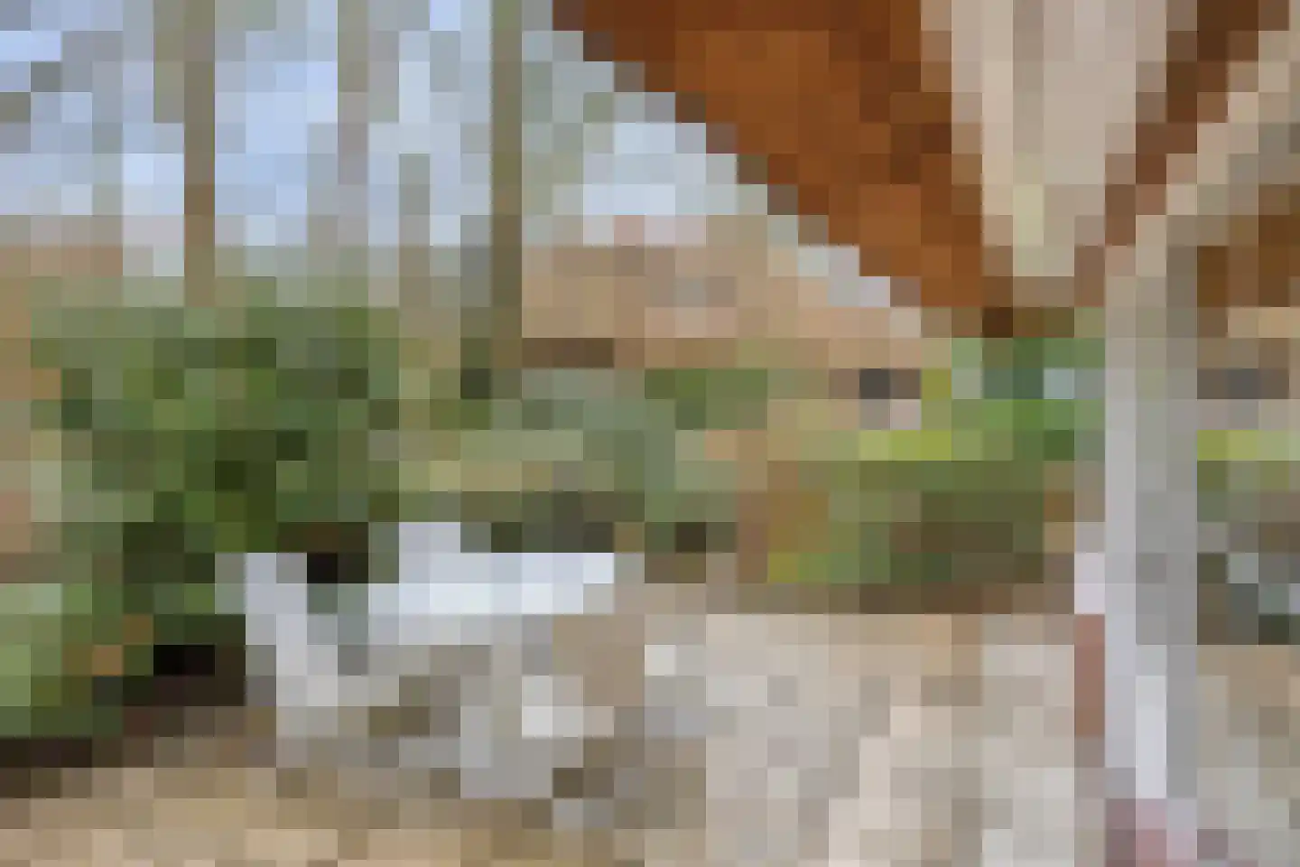 Berghumerstraat 36 Denekamp thumbnail 33