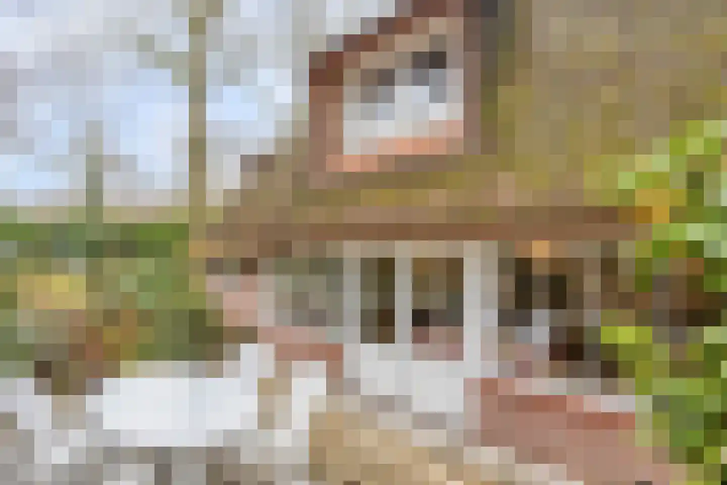 Berghumerstraat 36 Denekamp thumbnail 34
