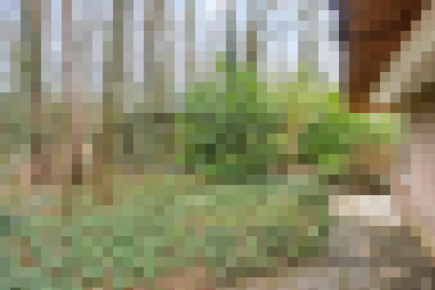 Berghumerstraat 36 Denekamp thumbnail 36