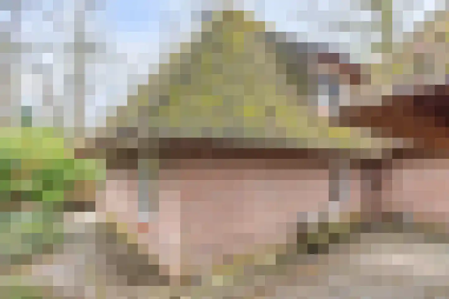 Berghumerstraat 36 Denekamp thumbnail 37