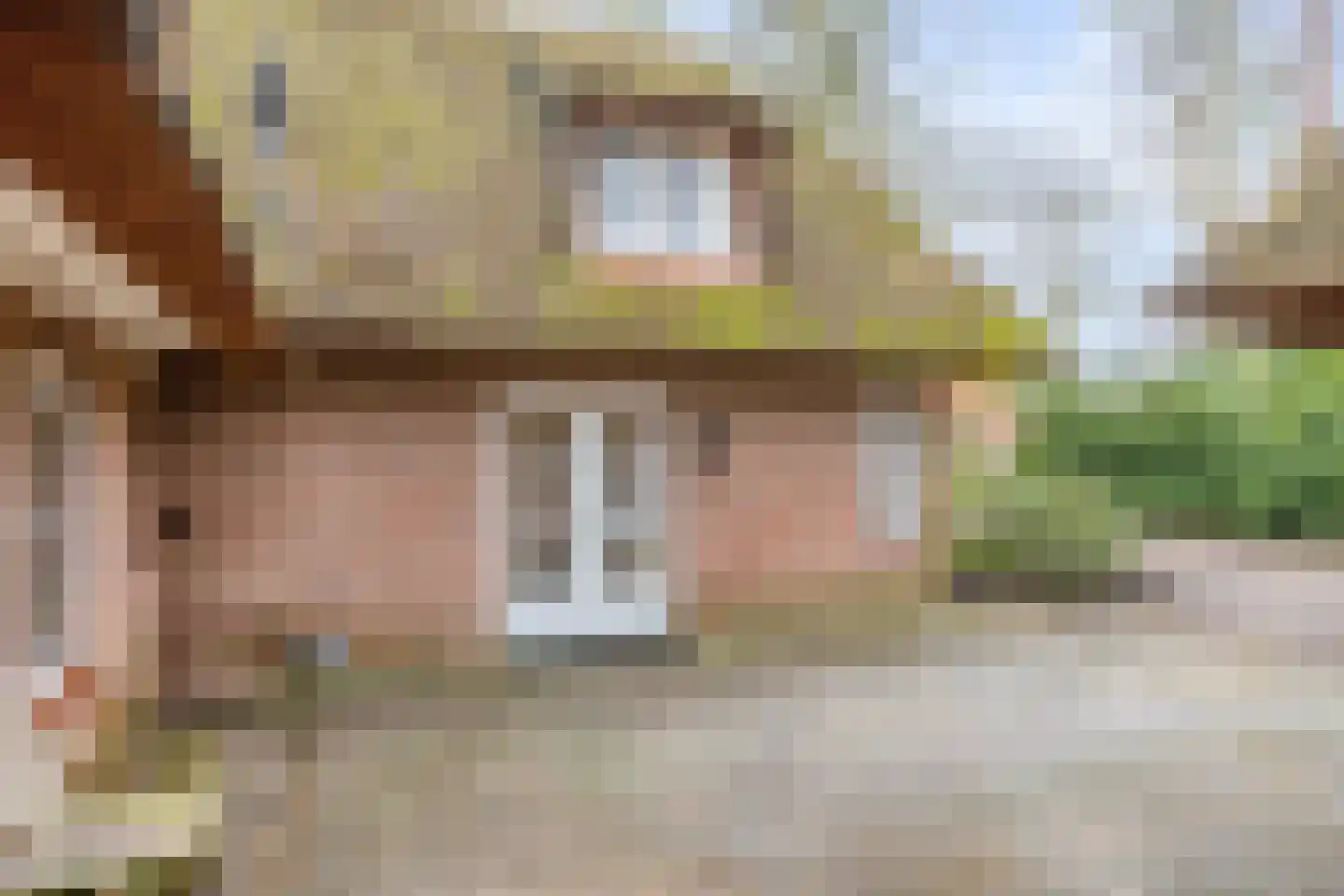 Berghumerstraat 36 Denekamp thumbnail 38