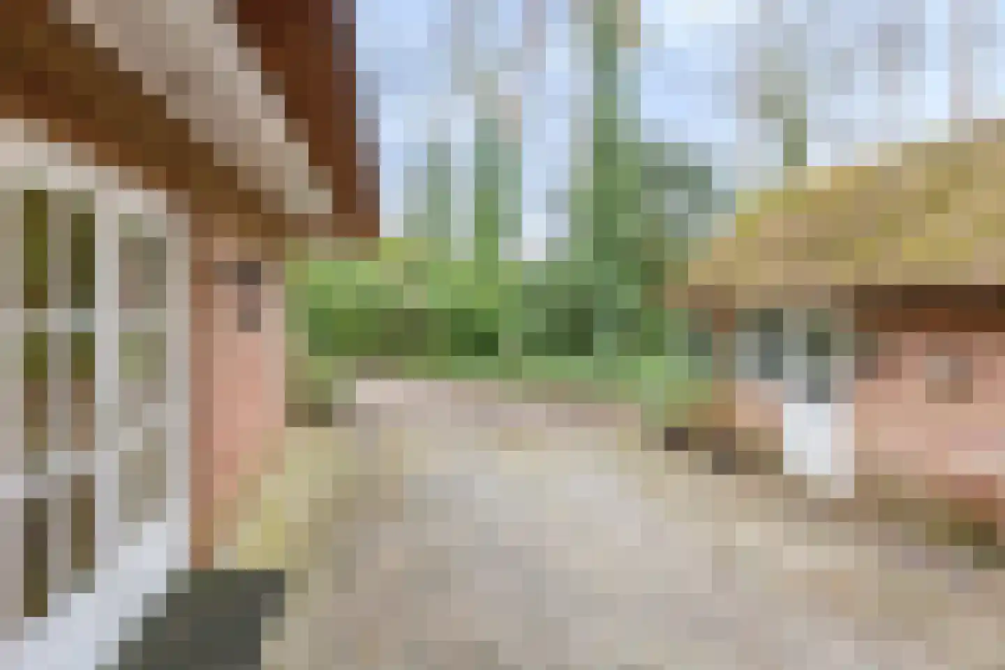 Berghumerstraat 36 Denekamp thumbnail 39