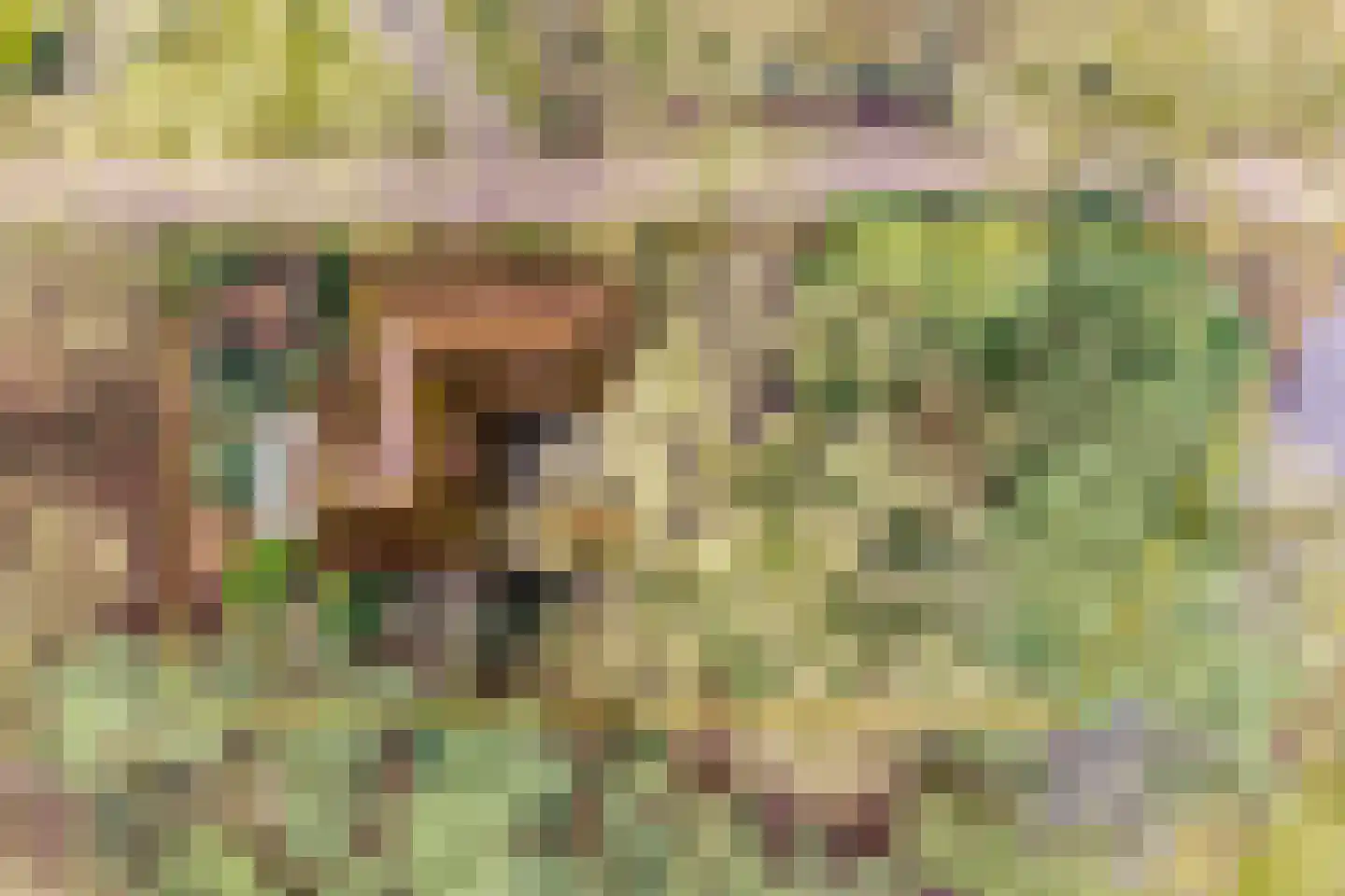 Berghumerstraat 36 Denekamp thumbnail 4