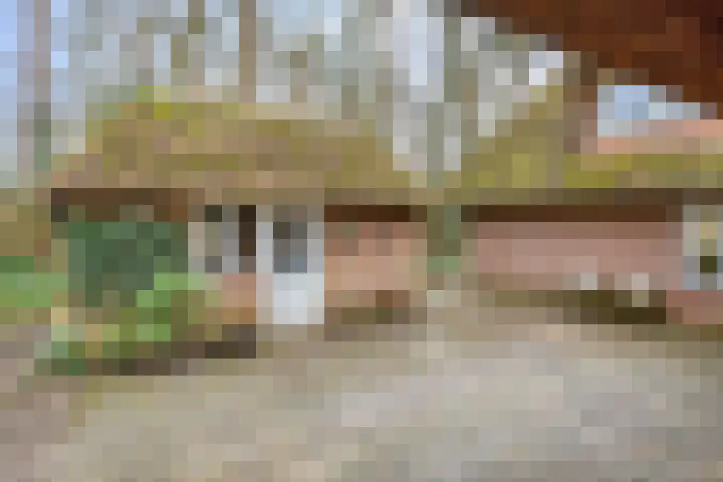 Berghumerstraat 36 Denekamp thumbnail 40