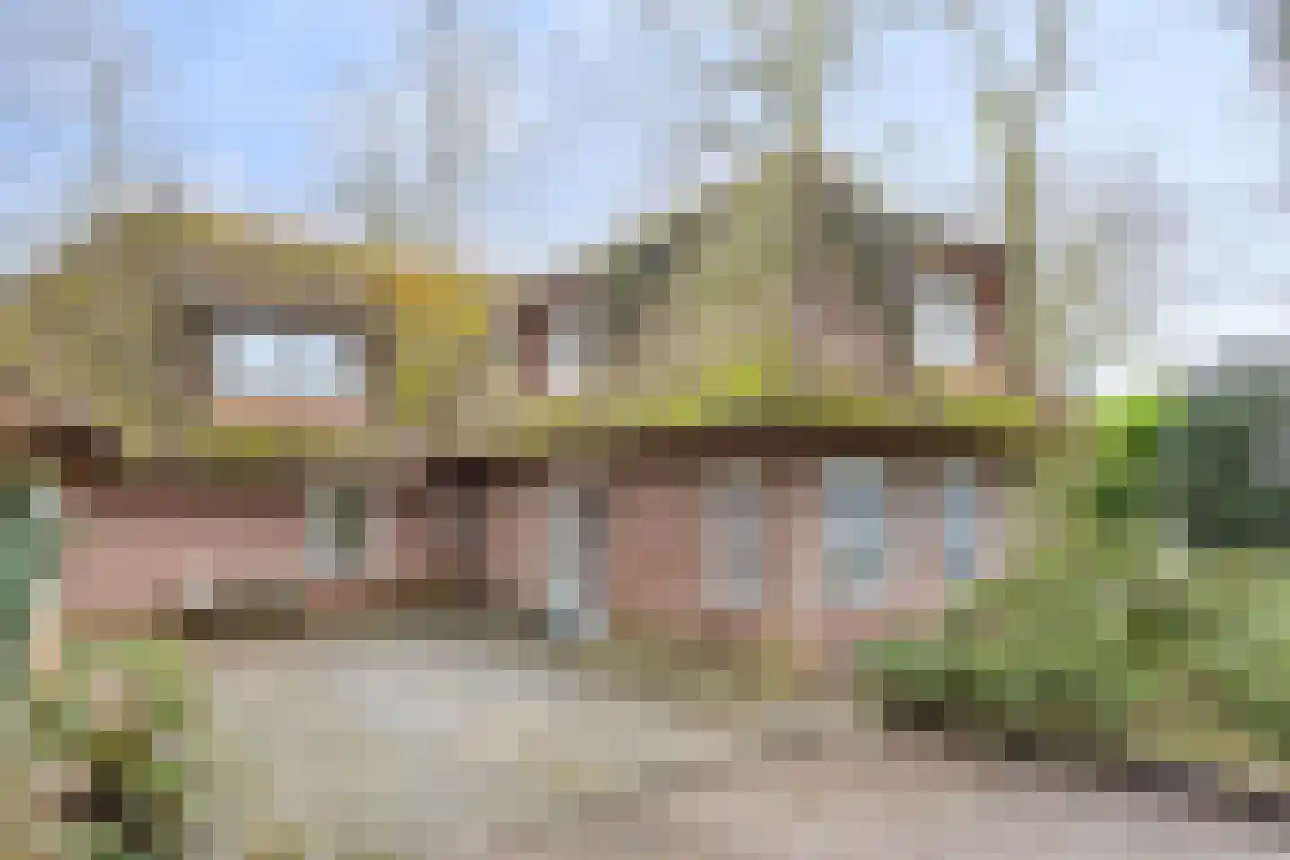 Berghumerstraat 36 Denekamp thumbnail 41