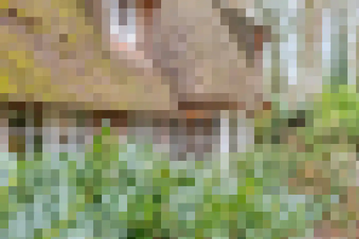 Berghumerstraat 36 Denekamp thumbnail 44