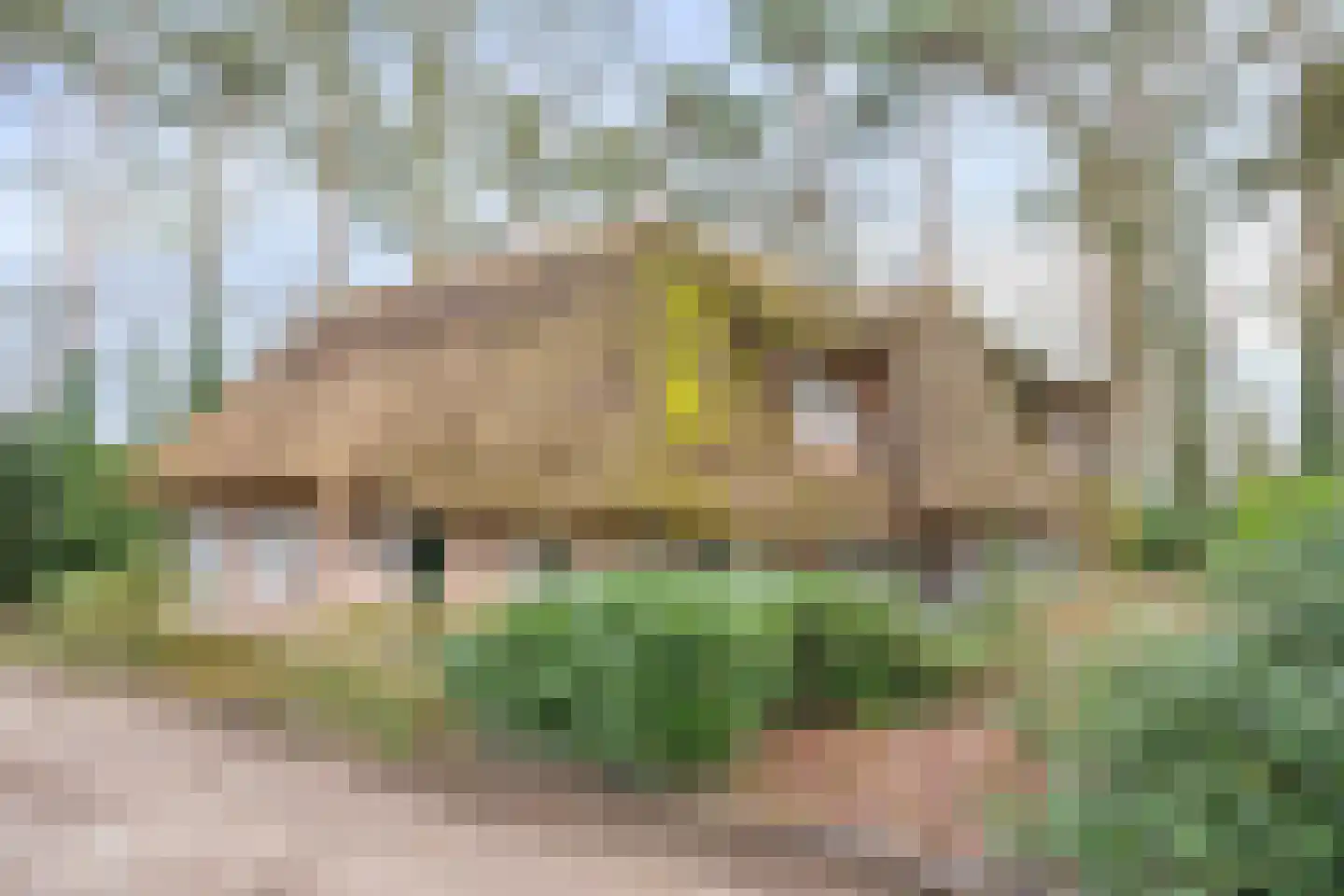 Berghumerstraat 36 Denekamp thumbnail 46