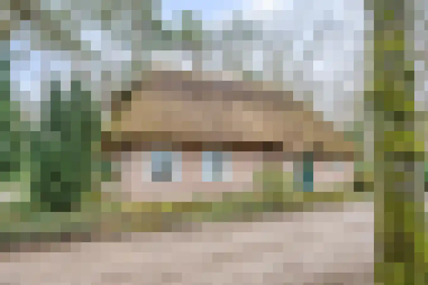 Berghumerstraat 36 Denekamp thumbnail 48