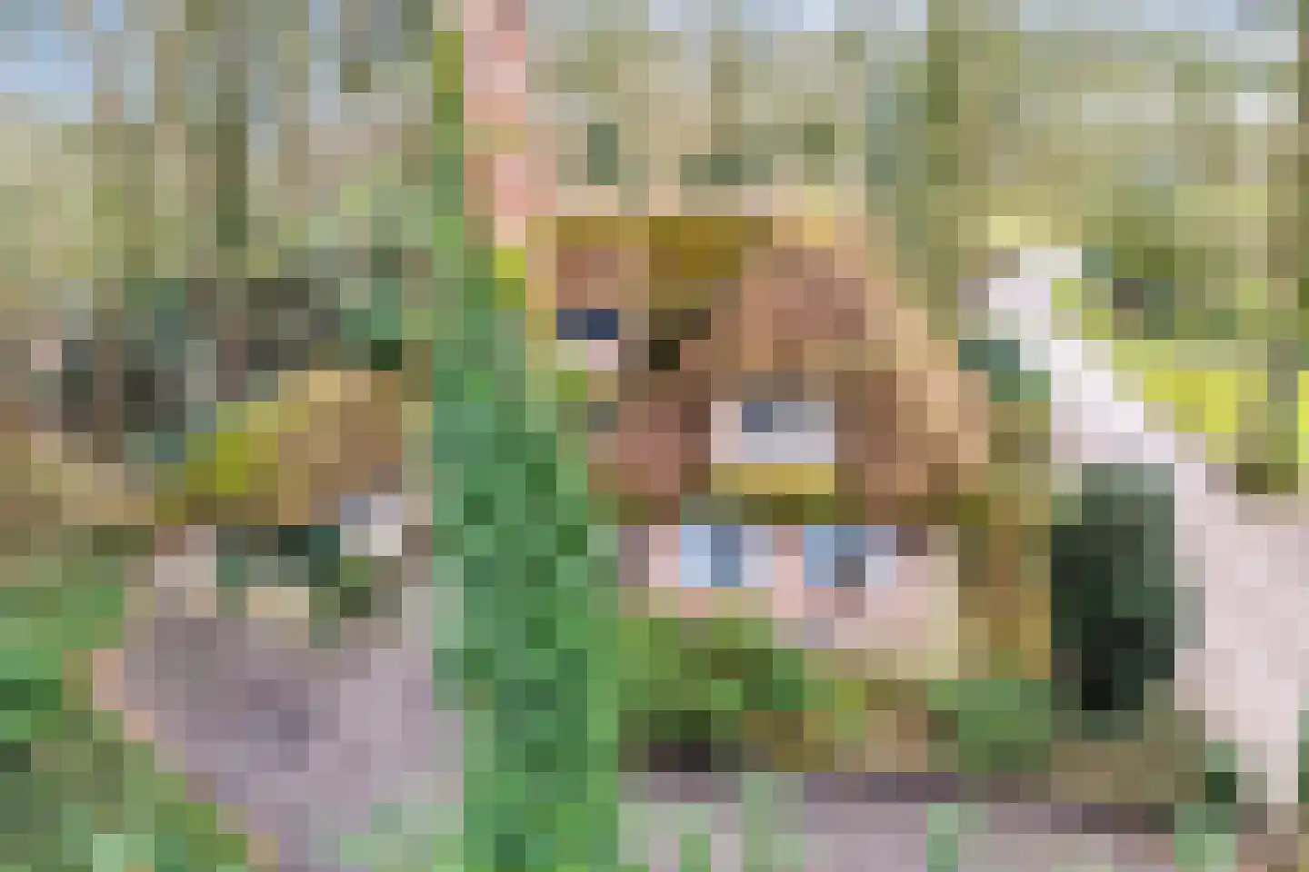 Berghumerstraat 36 Denekamp thumbnail 49