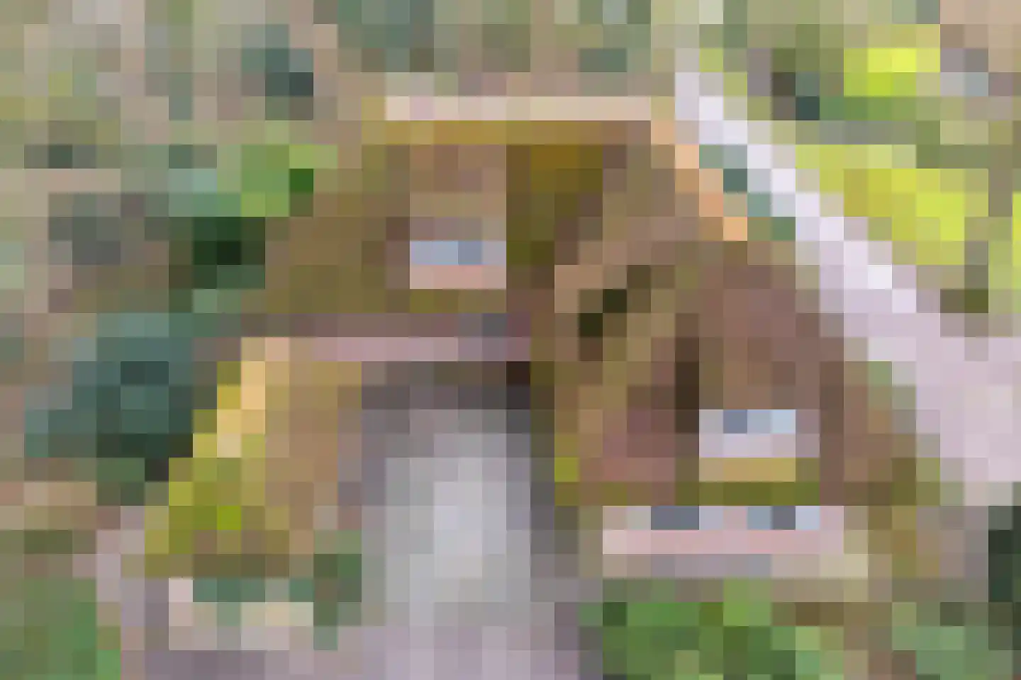 Berghumerstraat 36 Denekamp thumbnail 50