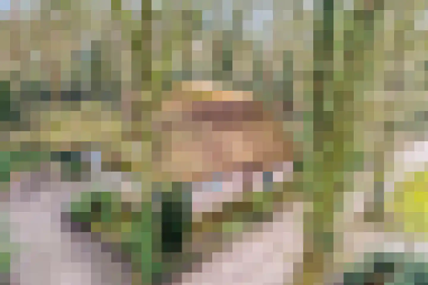 Berghumerstraat 36 Denekamp thumbnail 52