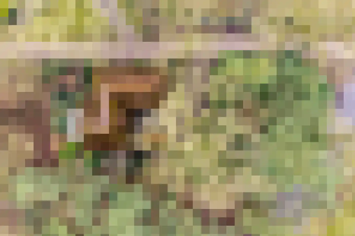 Berghumerstraat 36 Denekamp thumbnail 53