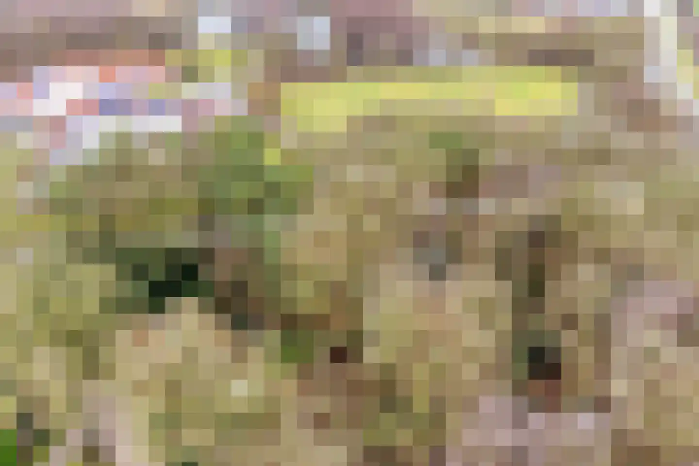 Berghumerstraat 36 Denekamp thumbnail 55