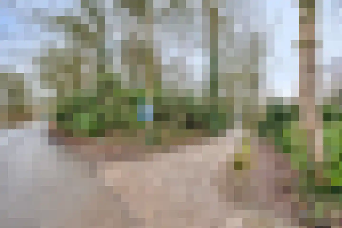 Berghumerstraat 36 Denekamp thumbnail 57