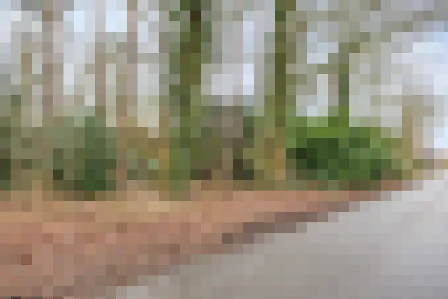 Berghumerstraat 36 Denekamp thumbnail 58