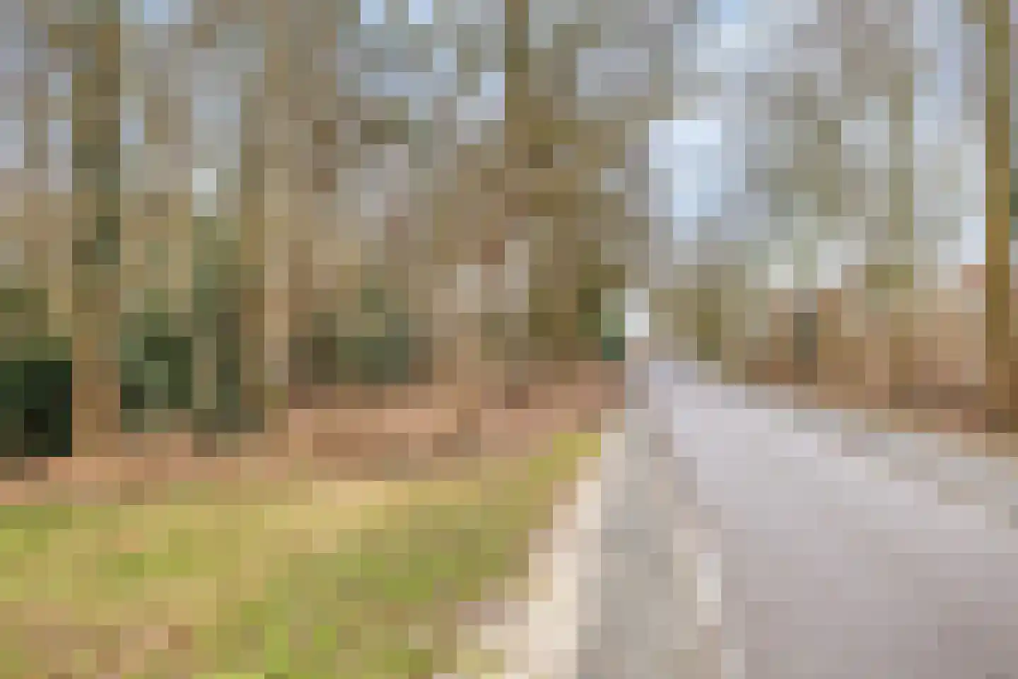Berghumerstraat 36 Denekamp thumbnail 59