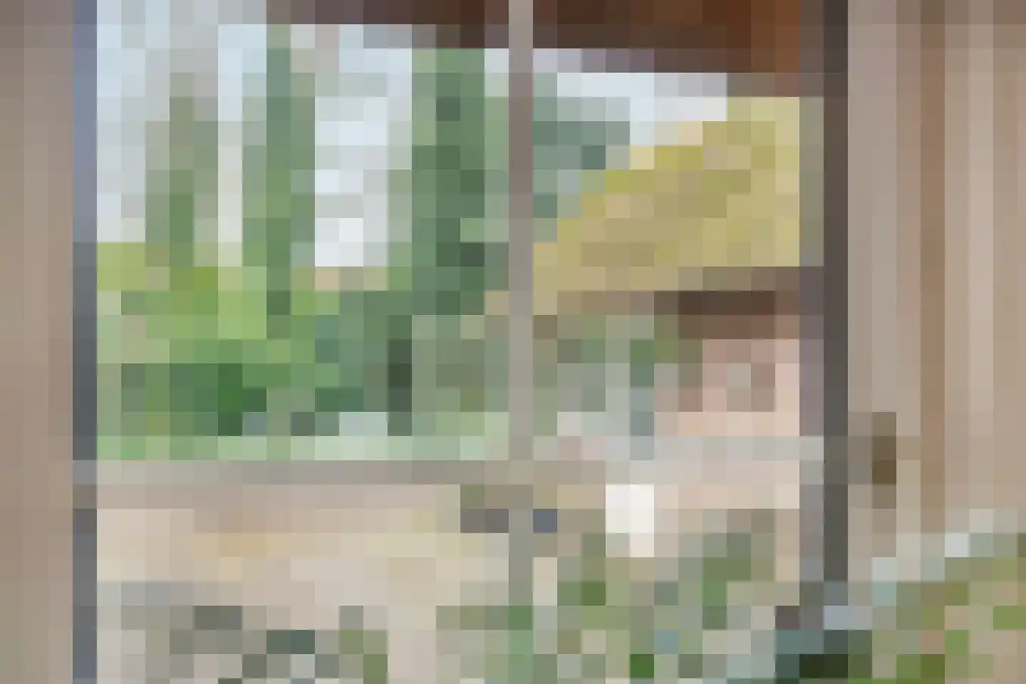 Berghumerstraat 36 Denekamp thumbnail 8