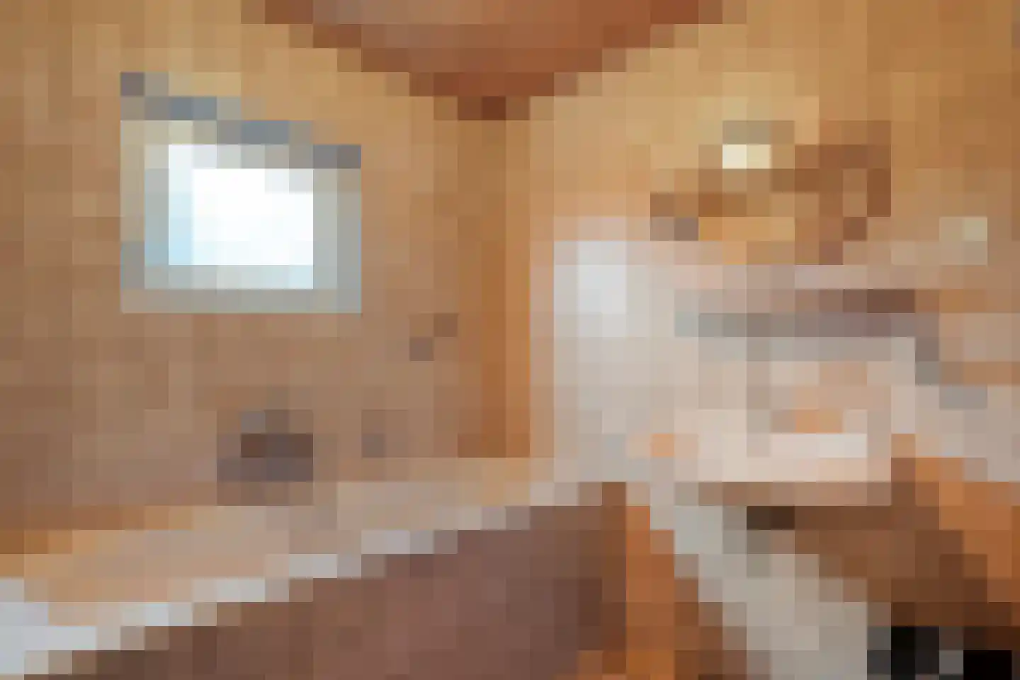 Berghumerstraat 5 Denekamp thumbnail 13