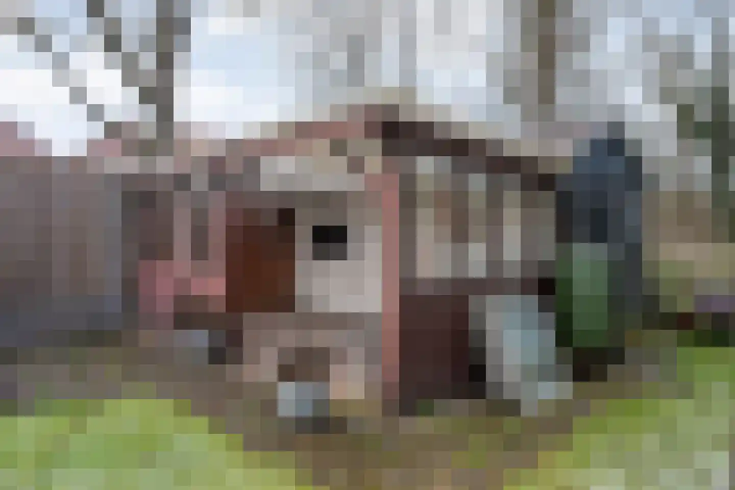 Berghumerstraat 5 Denekamp thumbnail 23
