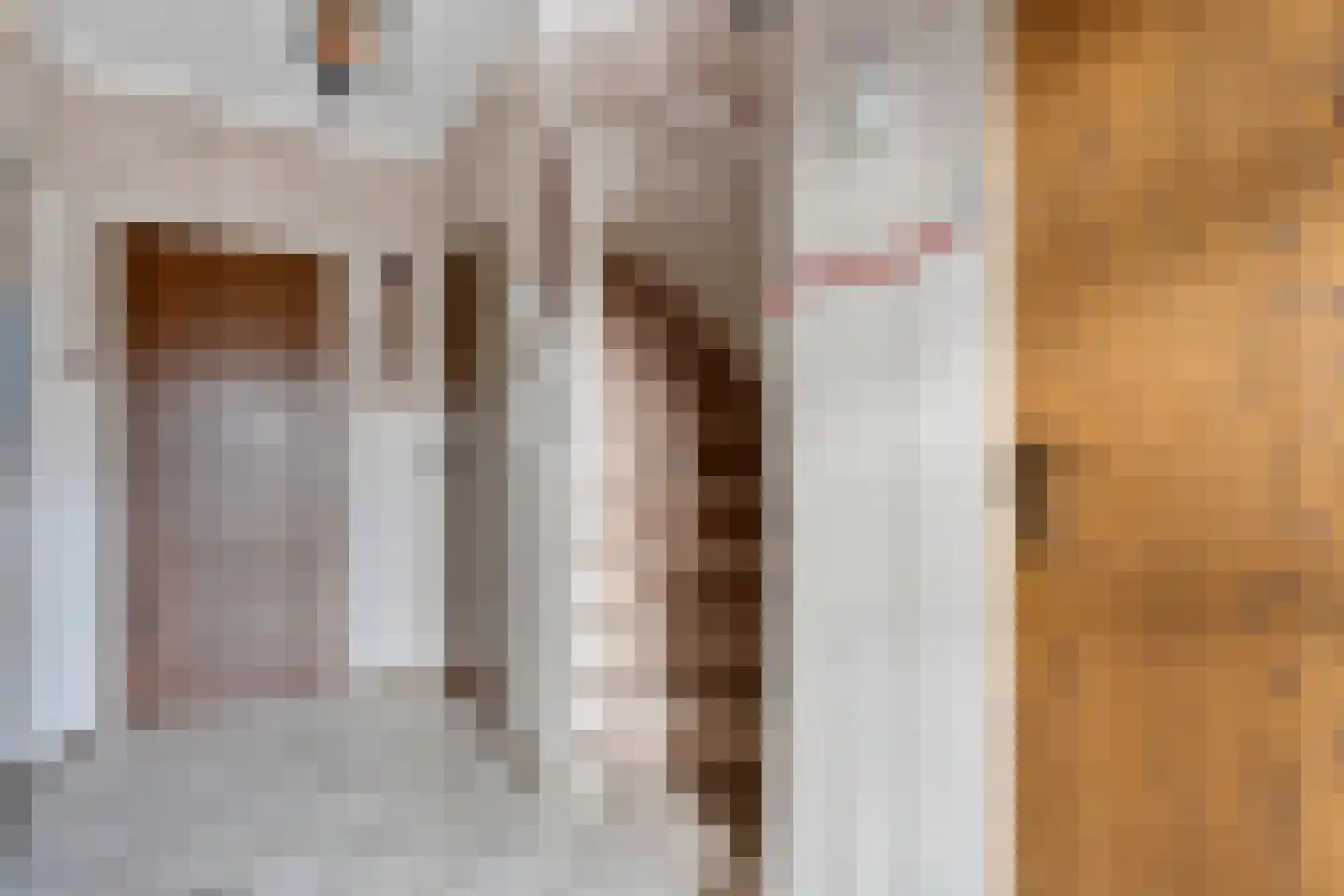 Berghumerstraat 5 Denekamp thumbnail 4