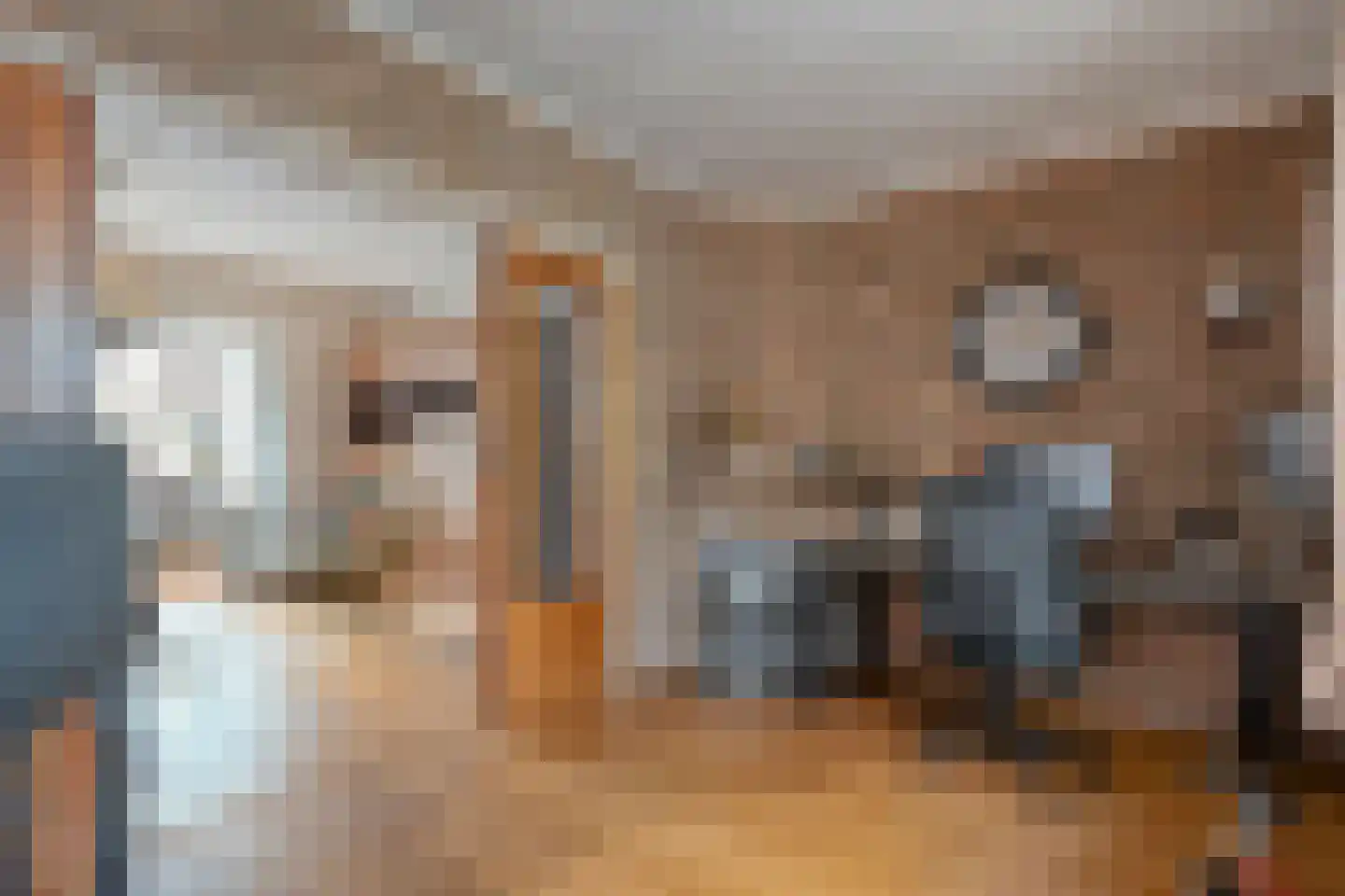 Berghumerstraat 5 Denekamp thumbnail 7