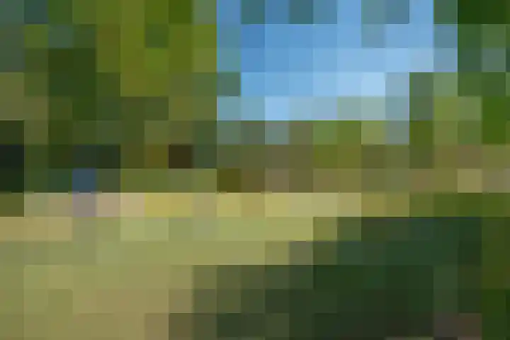 Berghuyspad 9 Delft thumbnail 35