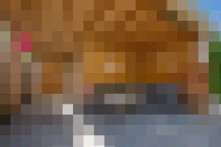 Berghuyspad 9 Delft thumbnail 8