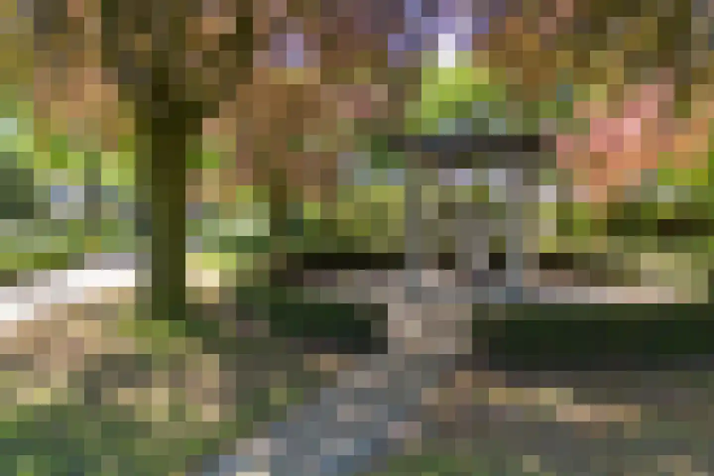 Bergkampweg 1 n Overloon thumbnail 38