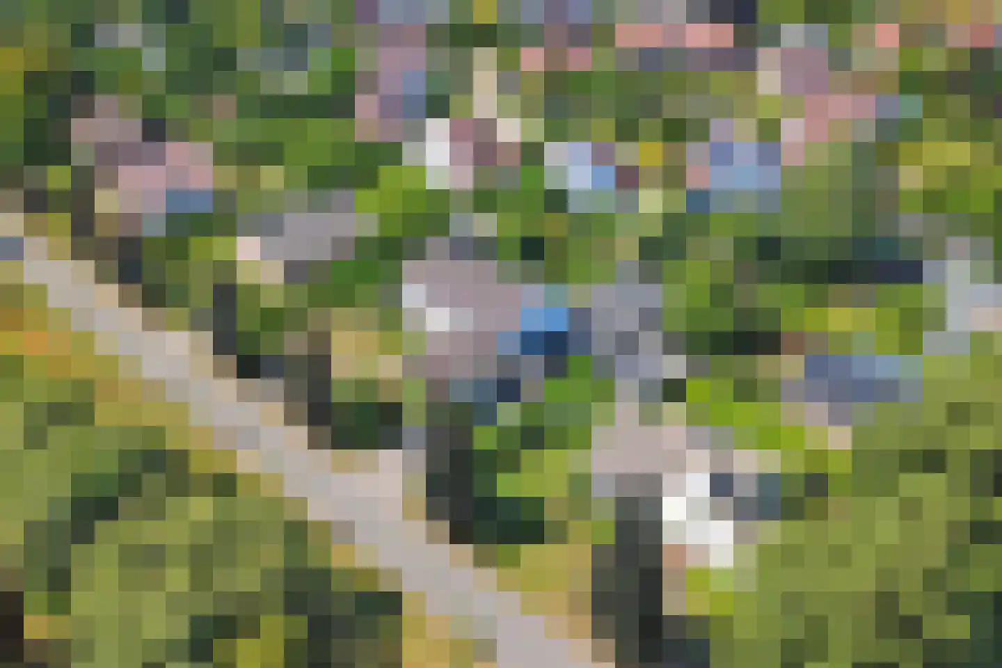 Bergkampweg 18 Warnsveld thumbnail 5