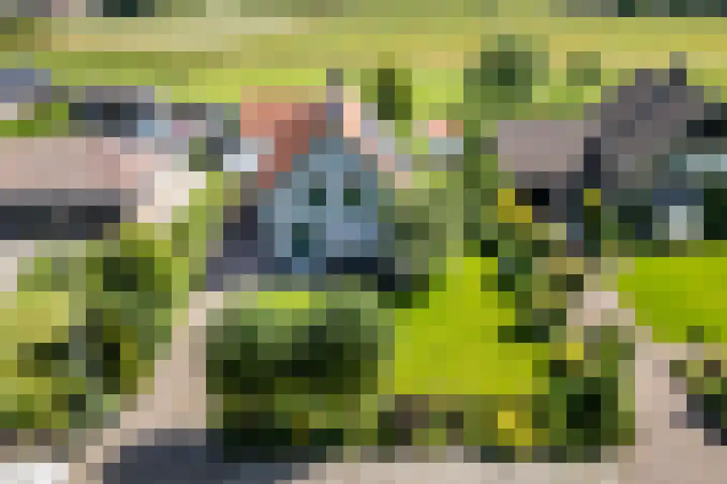 Bergkloosterweg 4 1 Zwolle thumbnail 4