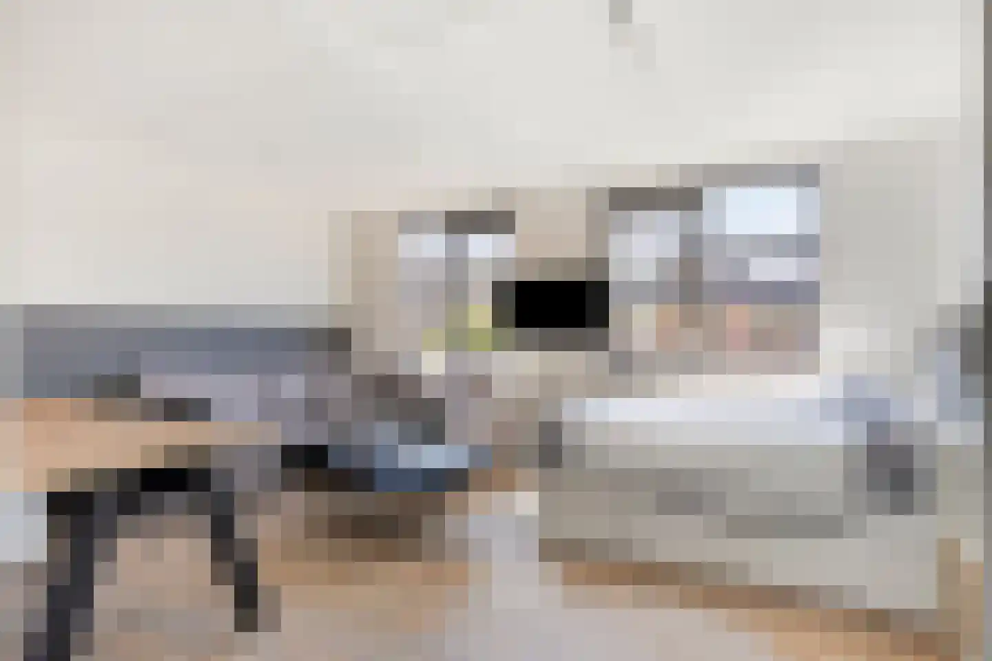 Bergkristal 11 Zoetermeer thumbnail 27
