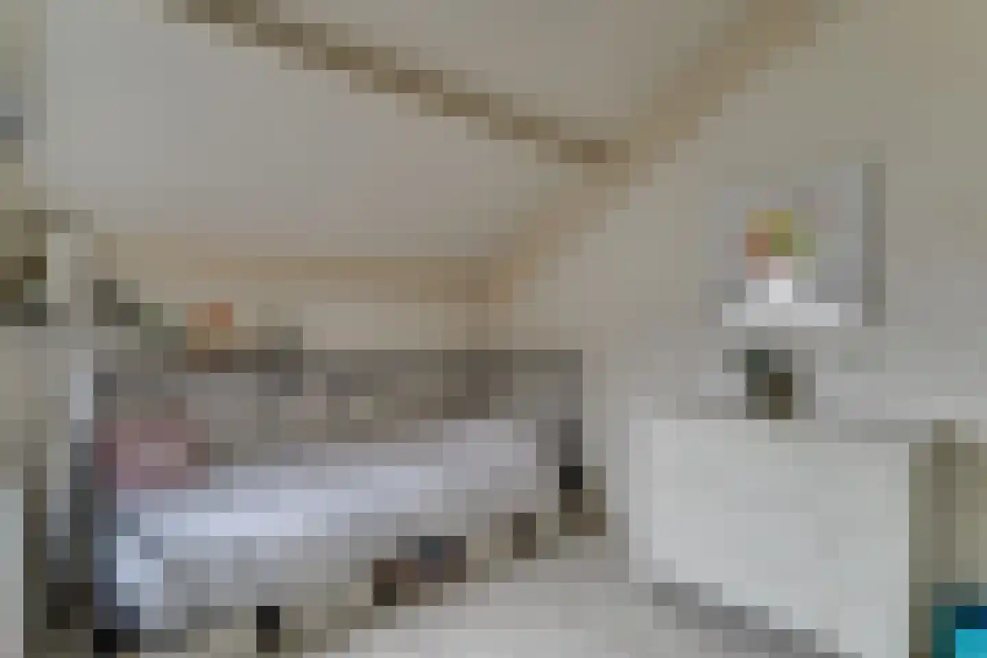 Bergkristal 35 Heerhugowaard thumbnail 35