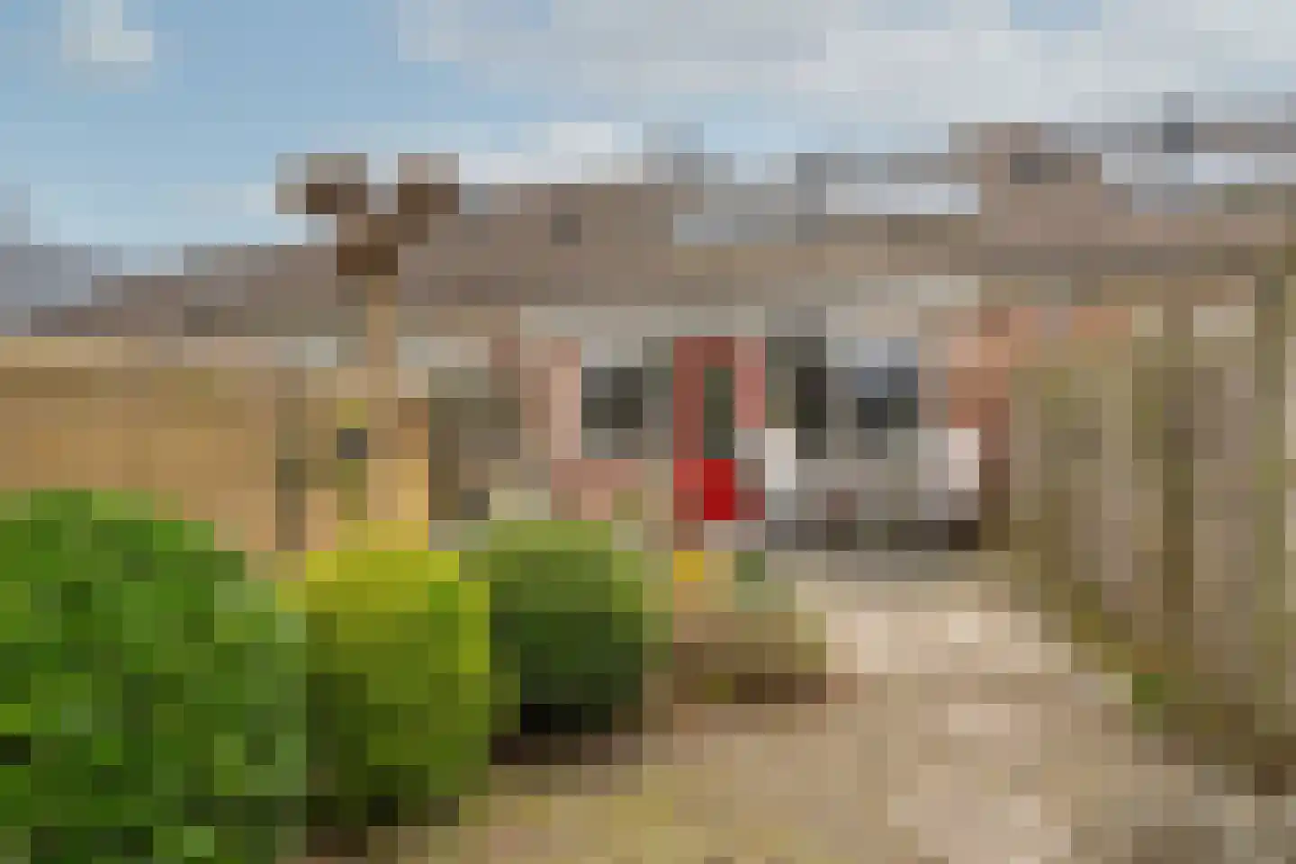 Bergkristal 35 Heerhugowaard thumbnail 42