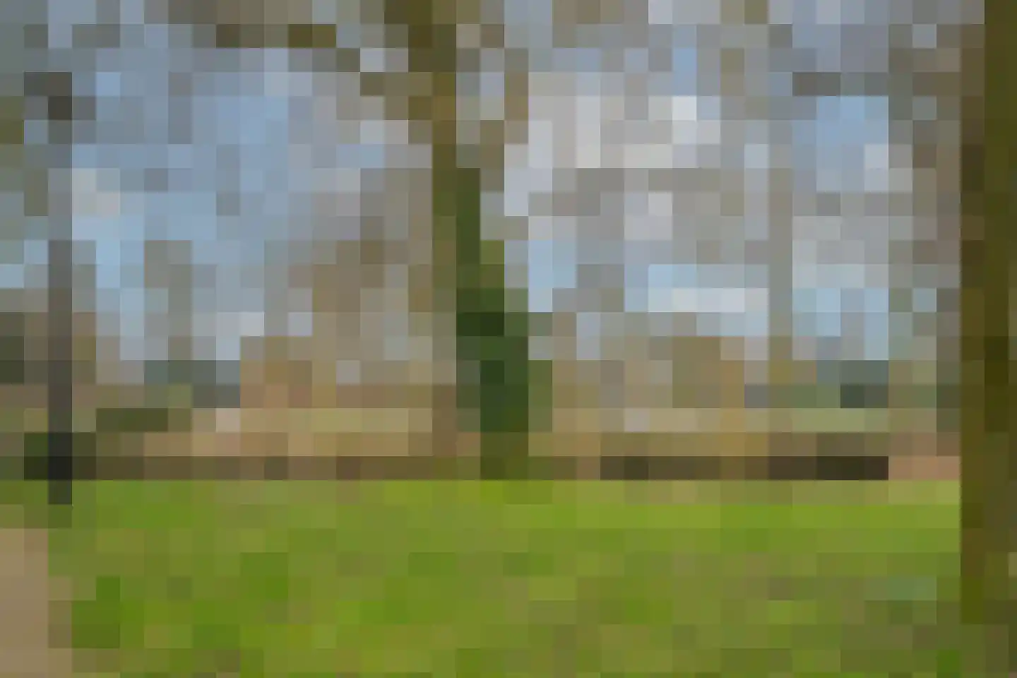 Bergkristal 35 Heerhugowaard thumbnail 50