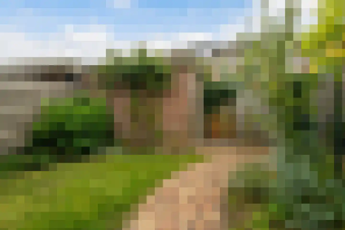 Bergkristal 37 Zoetermeer thumbnail 17