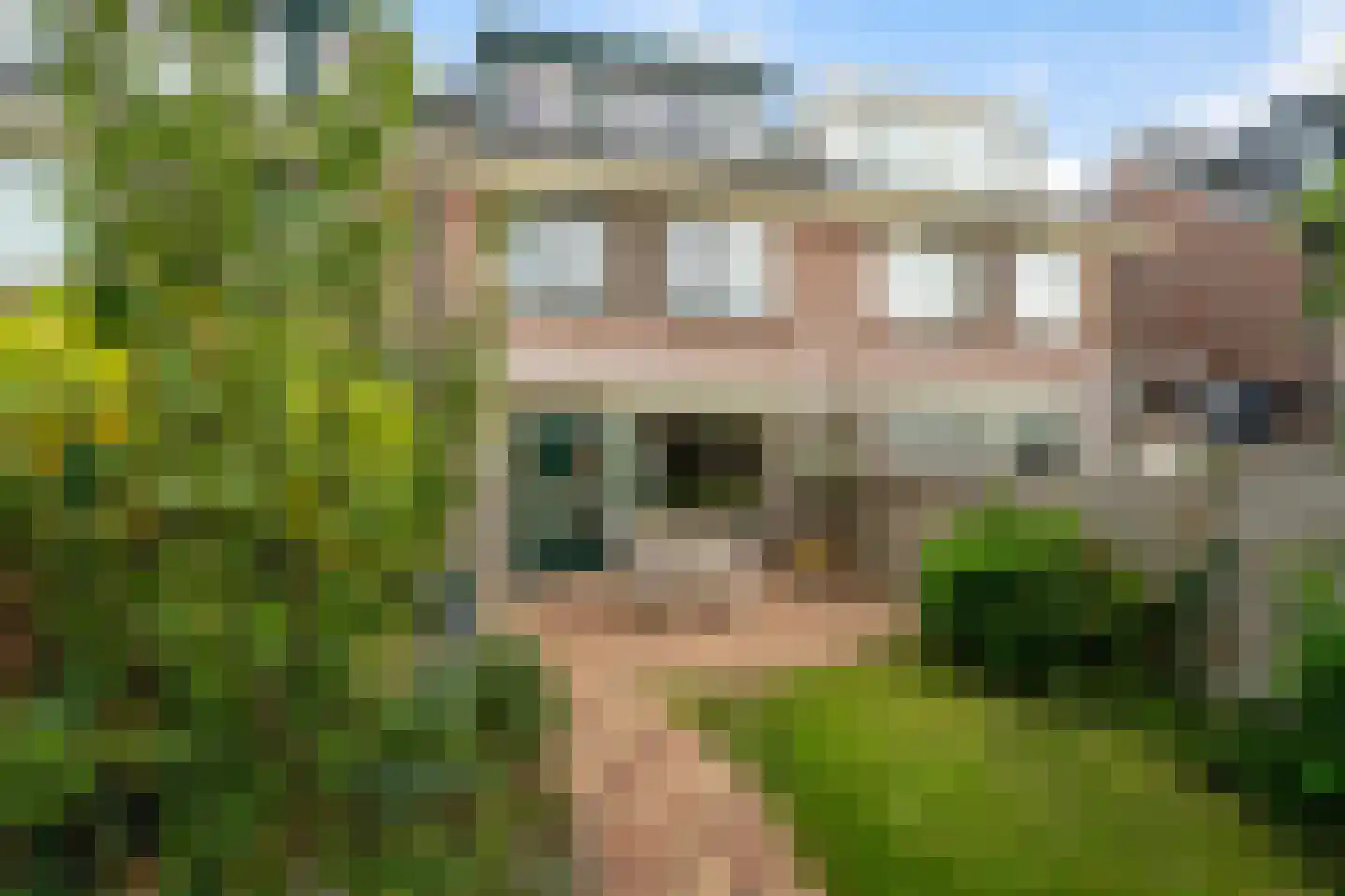 Bergkristal 37 Zoetermeer thumbnail 18