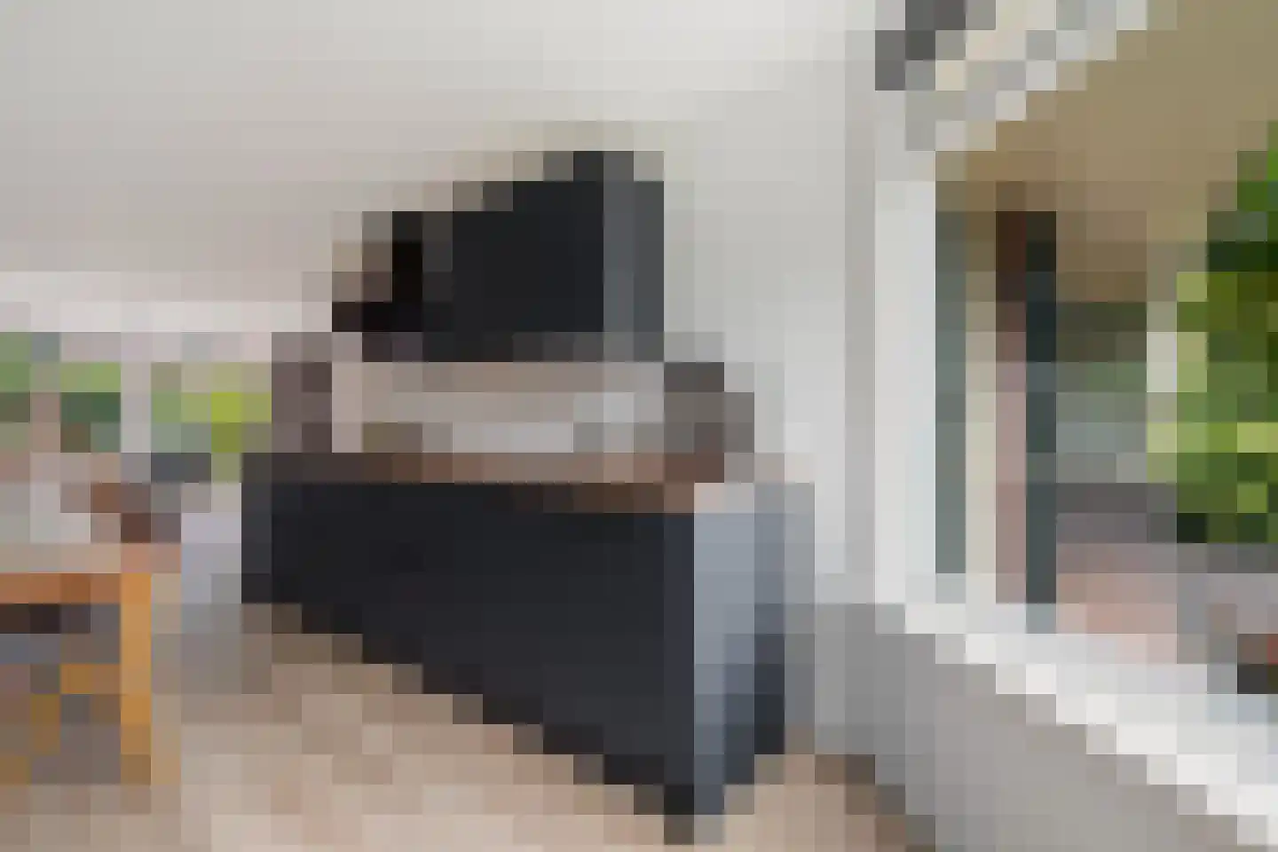 Bergkristal 37 Zoetermeer thumbnail 25