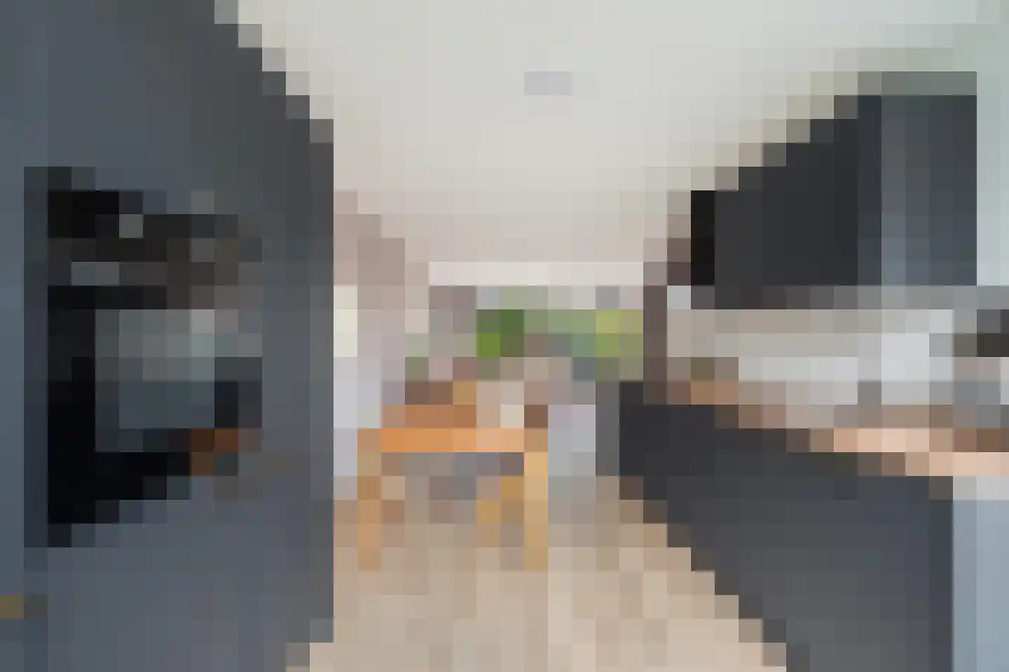Bergkristal 37 Zoetermeer thumbnail 26