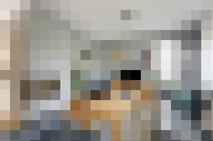 Bergkristal 6 Duiven thumbnail 15