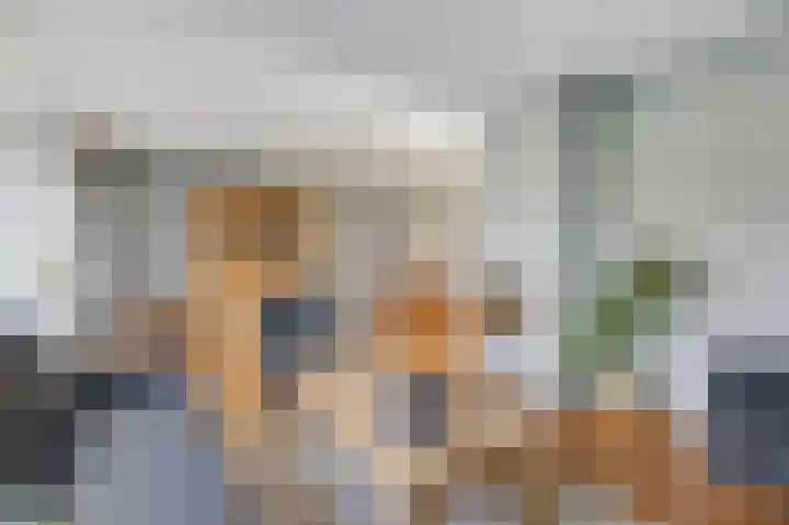 Bergkristal 6 Duiven thumbnail 16