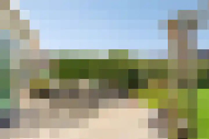 Bergkristal 6 Duiven thumbnail 29