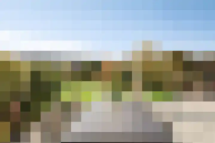 Bergkristal 6 Duiven thumbnail 30