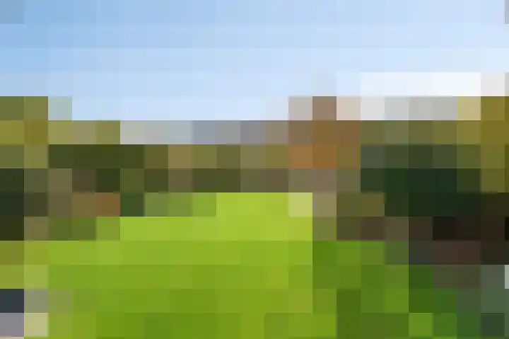 Bergkristal 6 Duiven thumbnail 31