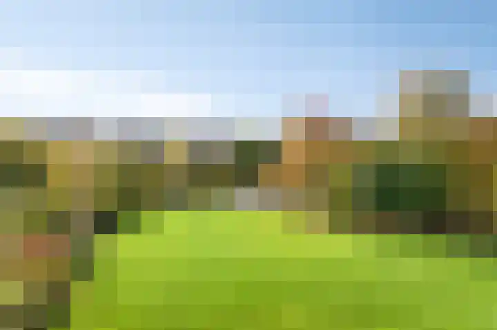 Bergkristal 6 Duiven thumbnail 32
